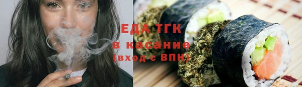 стаф Арсеньев