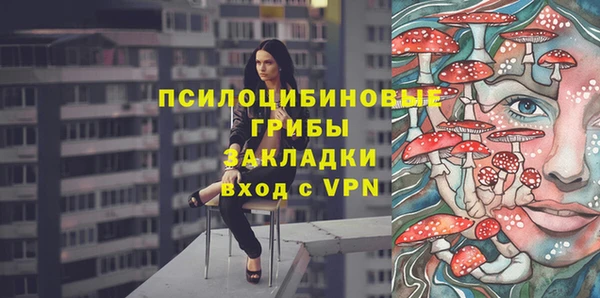 стаф Арсеньев