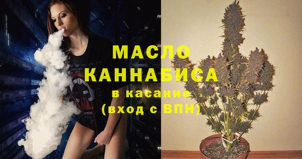 стаф Арсеньев