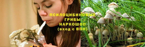 стаф Арсеньев
