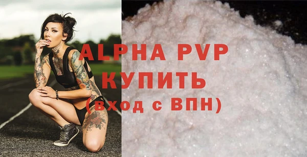 стаф Арсеньев