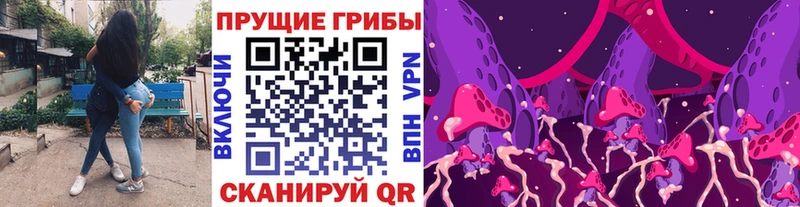 Псилоцибиновые грибы MAGIC MUSHROOMS  Дмитриев 